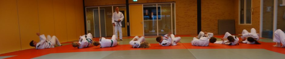 Judovereniging Kodokan